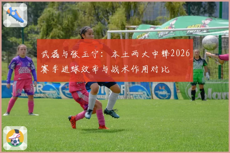 武磊与张玉宁:本土两大中锋2026赛季进球效率与战术作用对比