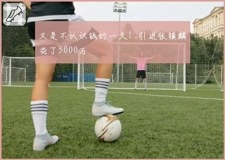 又是不认识钱的一天!引进张镇麟花了5000万